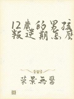 12岁的男孩子叛逆期怎么办