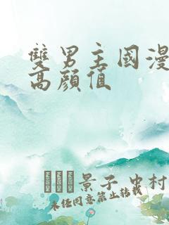 双男主国漫推荐高颜值