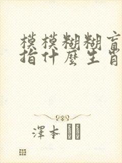 模模糊糊盲目下指什么生肖