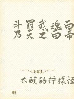 斗罗武魂白虎吾乃天之白帝免费阅读