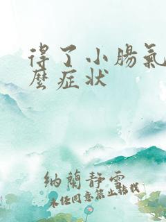 得了小肠气有什么症状