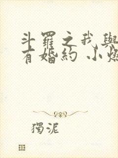 斗罗之我与小舞有婚约 小燃儿