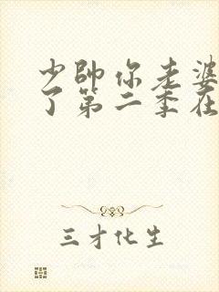 少帅你老婆又跑了第二季在线观看