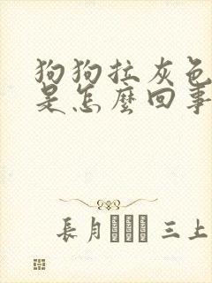 狗狗拉灰色稀便是怎么回事