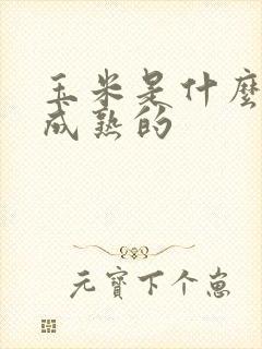 玉米是什么季节成熟的
