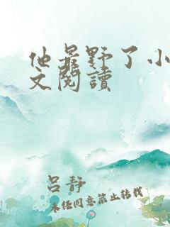 他最野了小说全文阅读