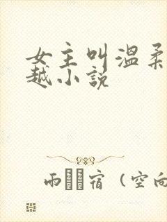 女主叫温柔的穿越小说