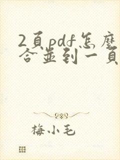 2页pdf怎么合并到一页