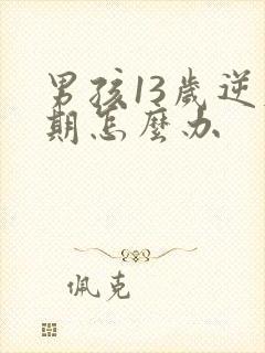 男孩13岁逆反期怎么办