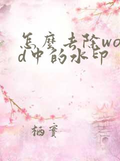 怎么去除word中的水印