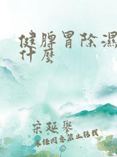 健脾胃除湿气吃什么