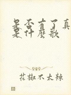 是否有了真感情是什么歌