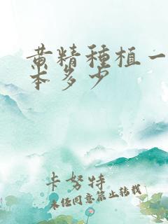 黄精种植一亩成本多少