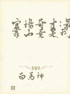官场奇才:最强靠山竟是我自己李霖免费