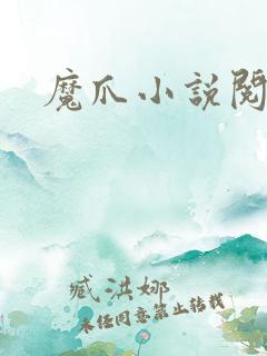 魔爪小说阅读器