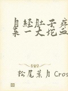 月经肚子疼掉出来一大坨血块