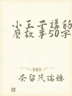 小王子讲的是什么故事50字