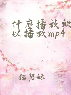 什么播放软件可以播放mp4