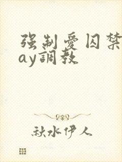 强制爱囚禁play调教