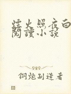 烟火照夜白全文阅读小说