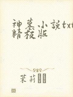 神墓小说txt精校版
