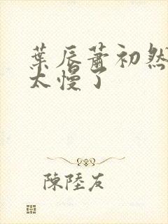 叶辰萧初然更新太慢了