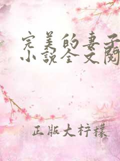 完美的妻子赵岚小说全文阅读