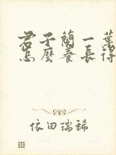 君子兰一叶小苗怎么养长得快