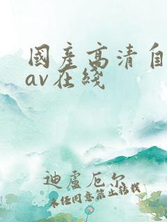 国产高清自产拍av在线