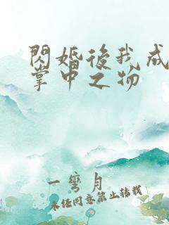 闪婚后我成大佬掌中之物