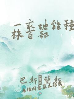 一亩地能种多少株百部