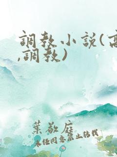 调教小说(高h,调教)