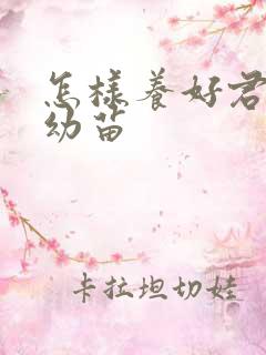 怎样养好君子兰幼苗