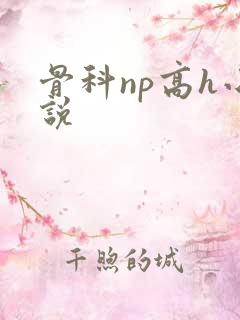 骨科np高h小说
