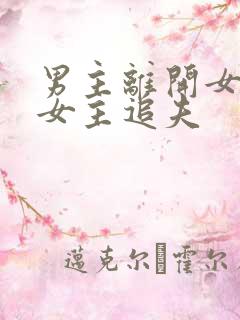 男主离开女主,女主追夫