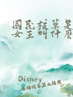 国民校草是女生女主叫什么