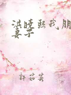 洪晓熙我朋友的妻子