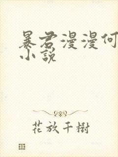 暴君漫漫何其多小说