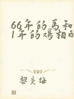 66年的马和81年的鸡相配吗