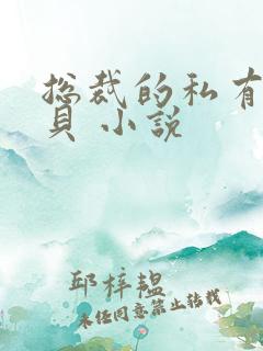总裁的私有小宝贝 小说