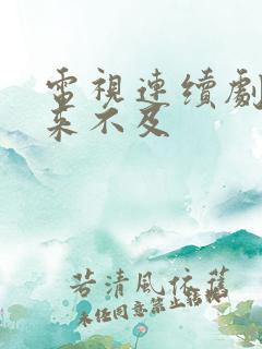 电视连续剧我怕来不及