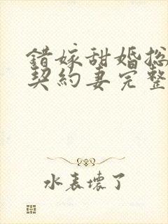 错嫁甜婚总裁的契约妻完整版