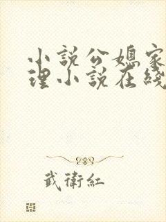 小说公媳家庭伦理小说在线阅读