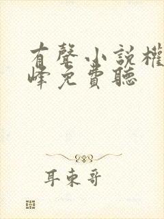 有声小说权力巅峰免费听