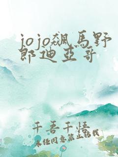 jojo飙马野郎迪亚哥
