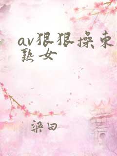 av狠狠操东北熟女