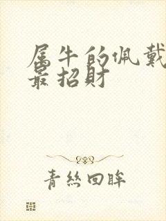 属牛的佩戴什么最招财
