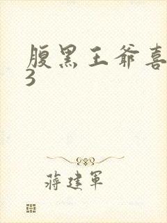 腹黑王爷喜当爹3