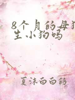 8个月的母狗能生小狗吗