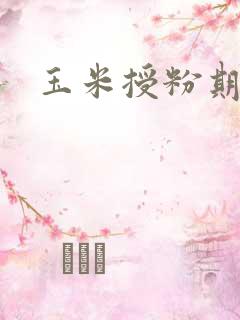 玉米授粉期几天